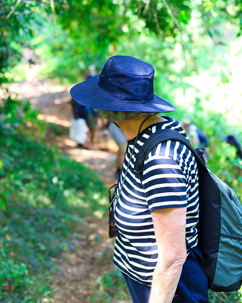Kandy Forest Trek